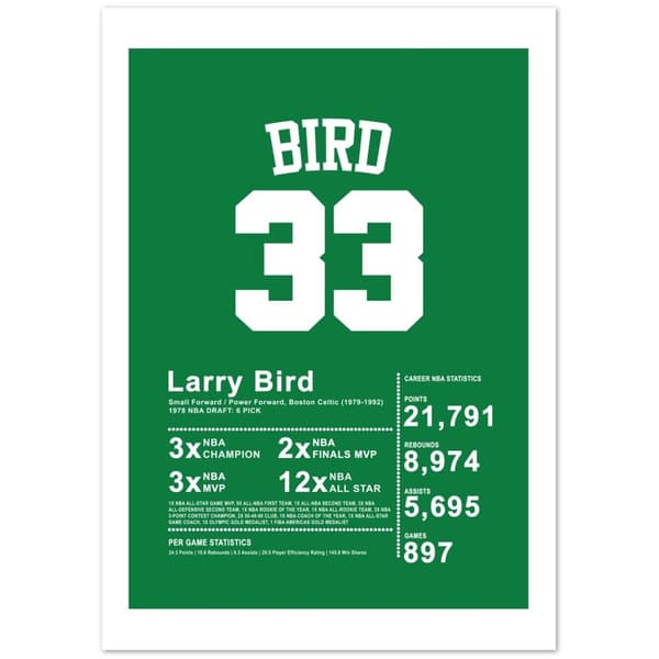 Larry Bird Poster - A2 (42 X 59.4 cm)