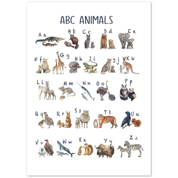 ABC Animals Poster - 50X70 cm / 20X28?