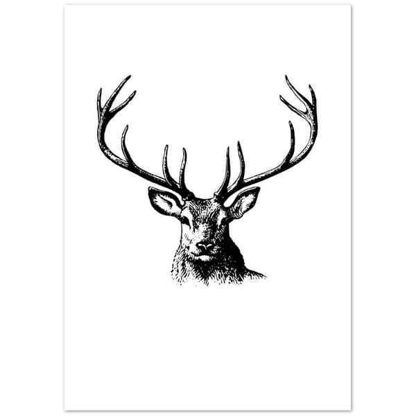 Deer Poster - 50X70 cm / 20X28?