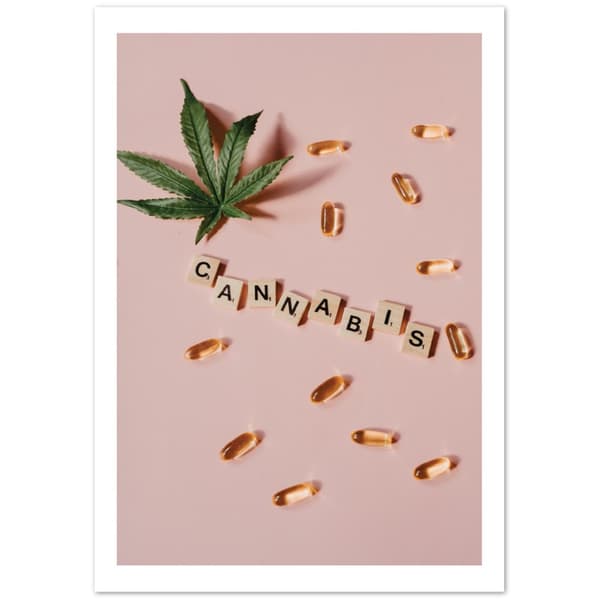 Cannabis Poster - 70X100 cm / 28X40?