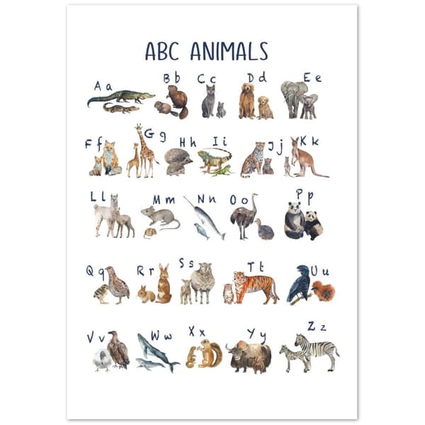 ABC Animals Poster - 70X100 cm / 28X40?