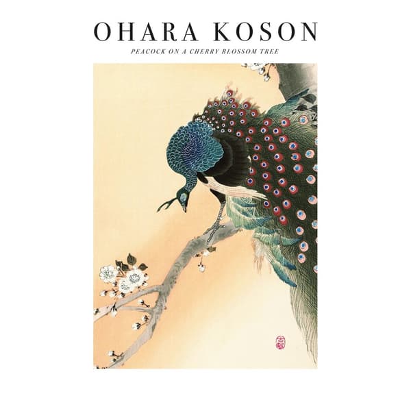 Ohara Koson Peacock On A Cherry Blossom Tree Print