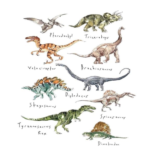 Rose Jocham Dinosaur Paper Print Multicoloured 50cm x 40cm