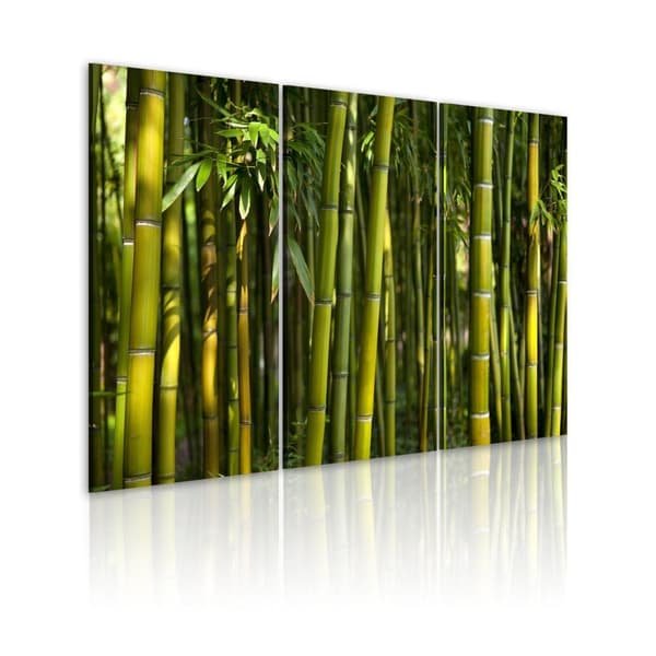 Canvas Tavla - Green bamboo 60x40