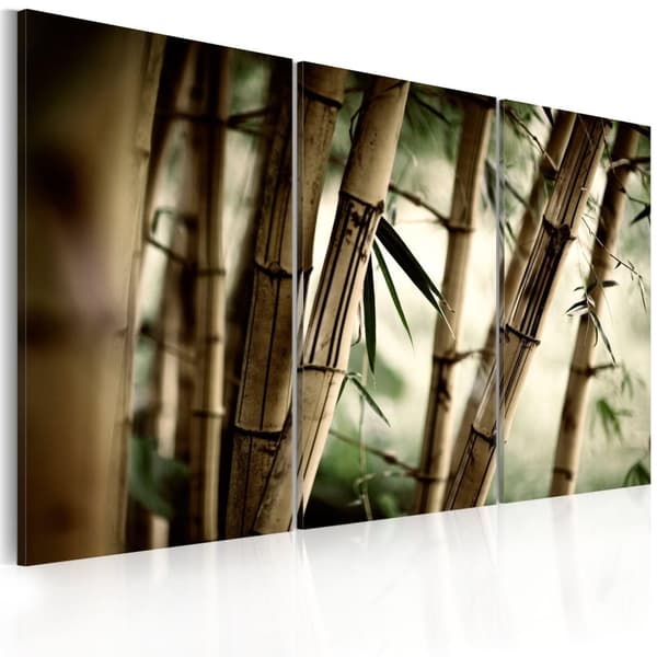 Canvas Tavla - In a tropical forest