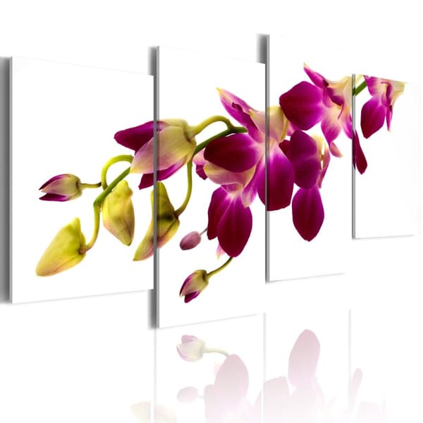 Canvas Tavla - Orchids glöd