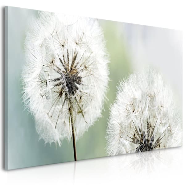 Canvas Tavla - Fluffy Dandelions Green Wide 100x45