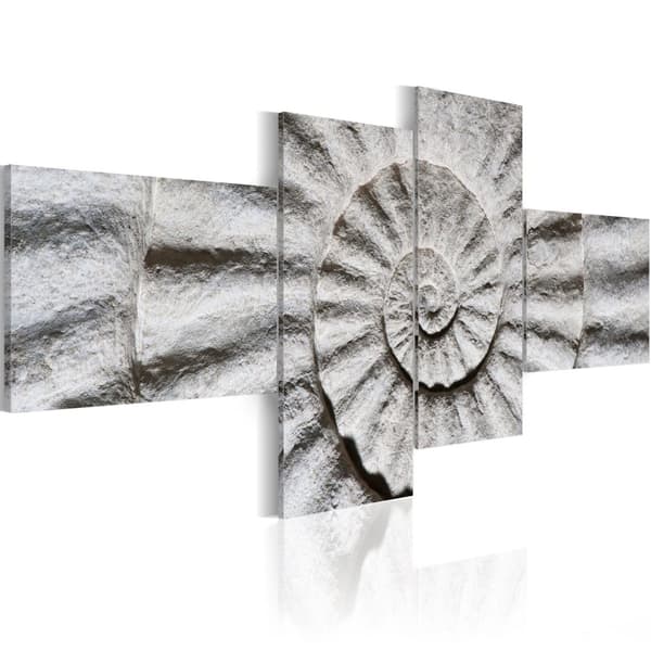 Canvas Tavla - Stone shell