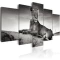 Miniatyrbild 1 av 4: Canvas Tavla - Lioness in a desert