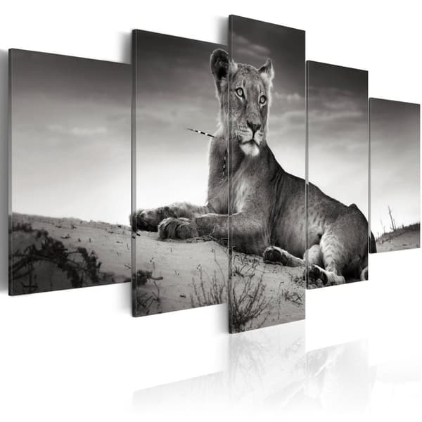 Canvas Tavla - Lioness in a desert