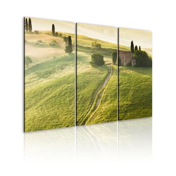 Canvas Tavla - Under the Tuscan Sun