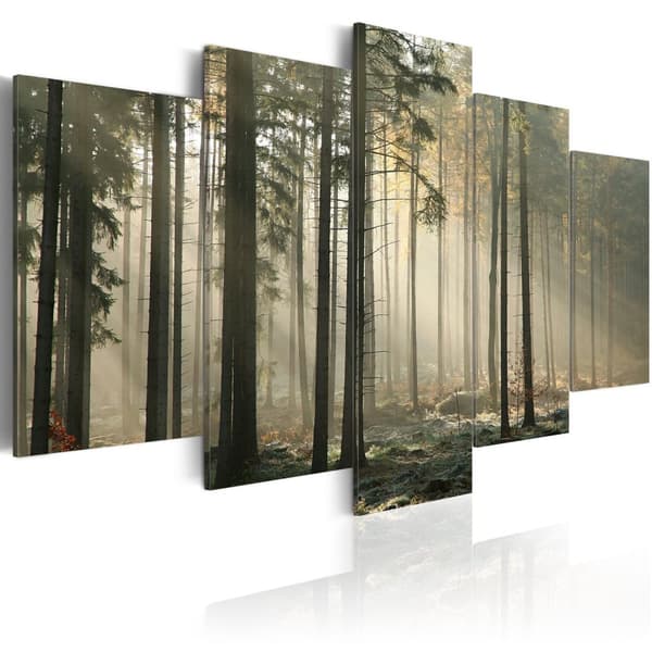 Canvas Tavla - Light in a dark forest 200x100