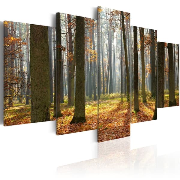 Canvas Tavla - A nice forest landscape 200x100