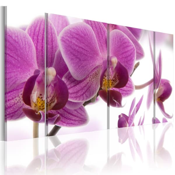 Canvas Tavla - Marvelous orchid
