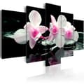 Miniatyrbild 1 av 4: Canvas Tavla - Rest of orchids