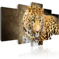 Miniatyrbild 1 av 4: Canvas Tavla - Green-eyed