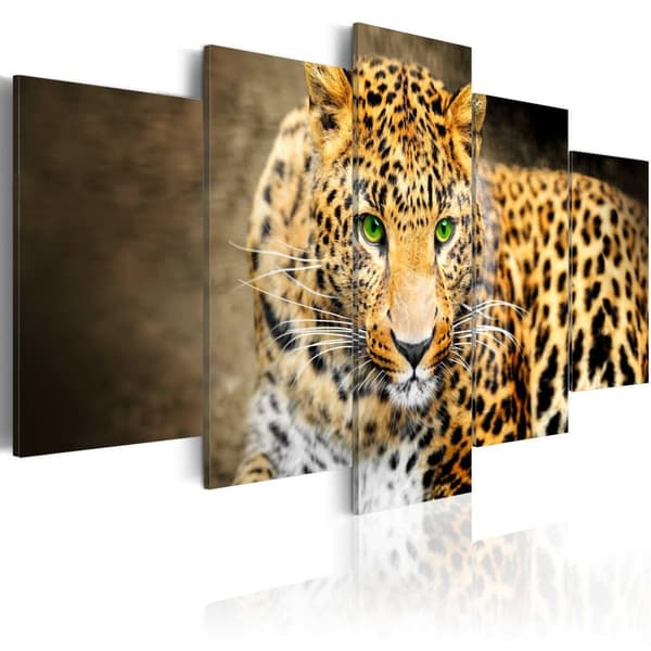 Canvas Tavla - Green-eyed 200x100