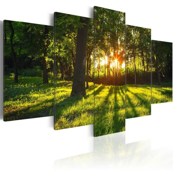 Canvas Tavla - The forest reflection