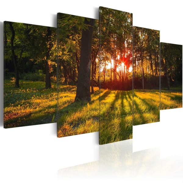 Canvas Tavla - In the shade of forest