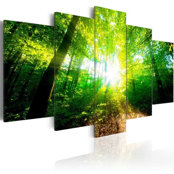 Canvas Tavla - Wonderful Morning 200x100