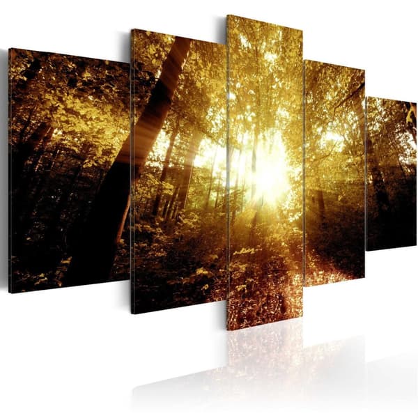 Canvas Tavla - Autumn Forest 200x100