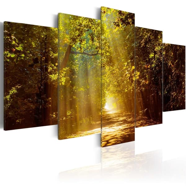 Canvas Tavla - Forest in the Sunlight