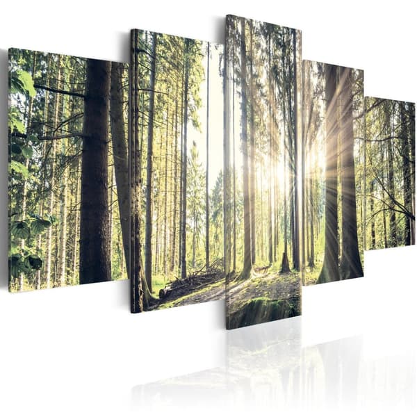 Canvas Tavla - Forest Temple 100x50