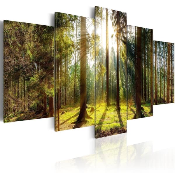 Canvas Tavla - Morning Awakening