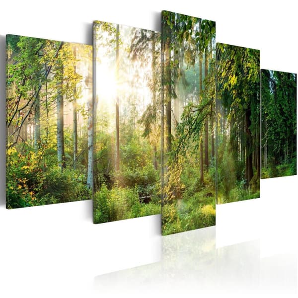 Canvas Tavla - Green Sanctuary