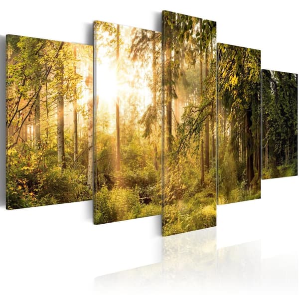 Canvas Tavla - Magic of Forest