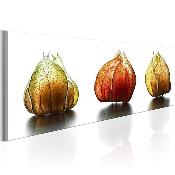 Canvas Tavla - Winter Cherry 135x45