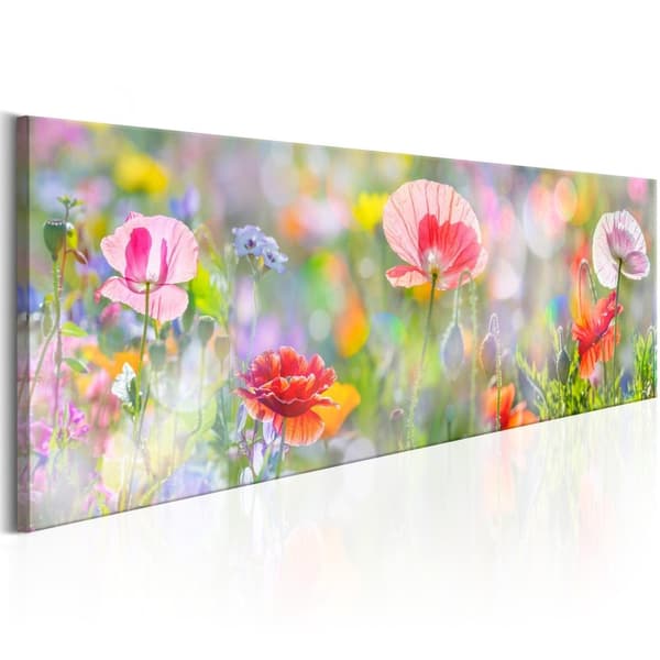 Canvas Tavla - Rainbow of Morning Poppies