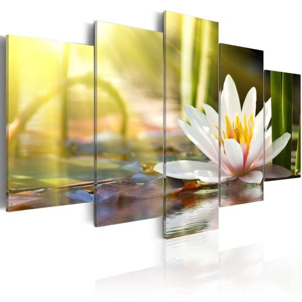 Canvas Tavla - Sunny Lotus