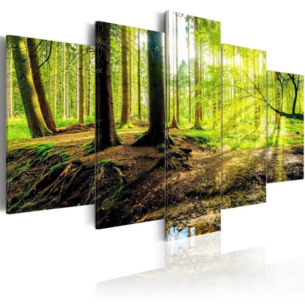 Canvas Tavla - Poetry of a Forest