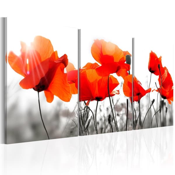 Canvas Tavla - Charming Poppies