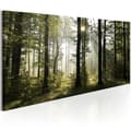 Miniatyrbild 1 av 4: Canvas Tavla - Beautiful Morning