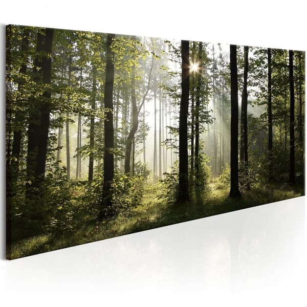 Canvas Tavla - Beautiful Morning 70x35