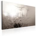 Pikkukuva 1 / 4: Canvas Tavla - Beautiful Summer: Dandelions