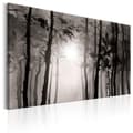 Miniatyrbild 1 av 4: Canvas Tavla - Foggy Forest