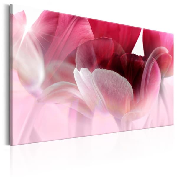 Canvas Tavla - Nature: Pink Tulips 120x80