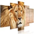 Miniatyrbild 1 av 4: Canvas Tavla - The King of Beasts (5 delar) Wide Orange