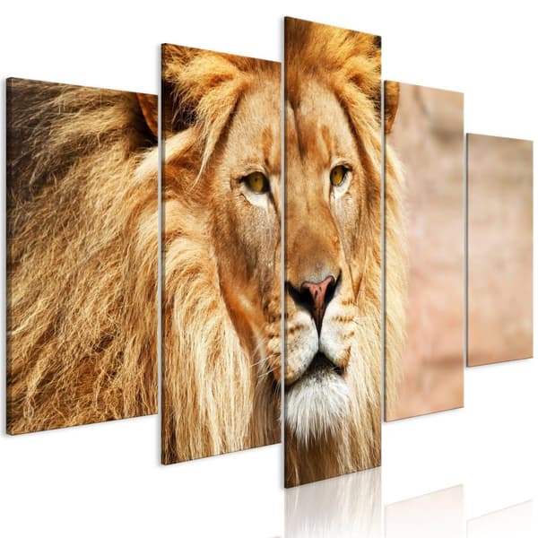 Canvas Tavla - The King of Beasts (5 delar) Wide Orange 200x100