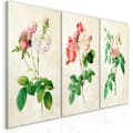 Miniatyrbild 1 av 4: Canvas Tavla - Floral Trio (Collection)