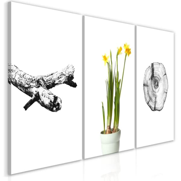 Canvas Tavla - Nature (Collection) 60x30