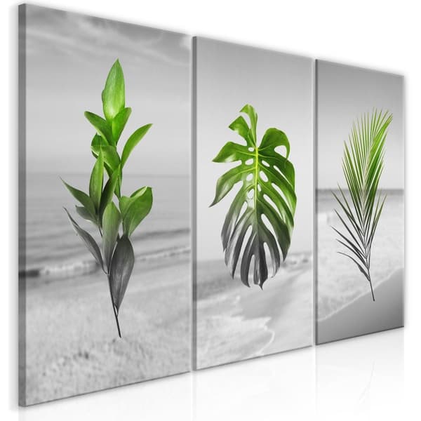 Canvas Tavla - Plants (Collection)