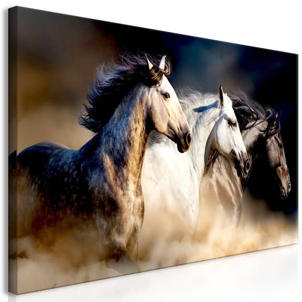 Canvas Tavla - Sons of the Wind Wide