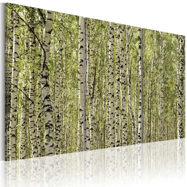 Canvas Tavla - A forest of birch trees