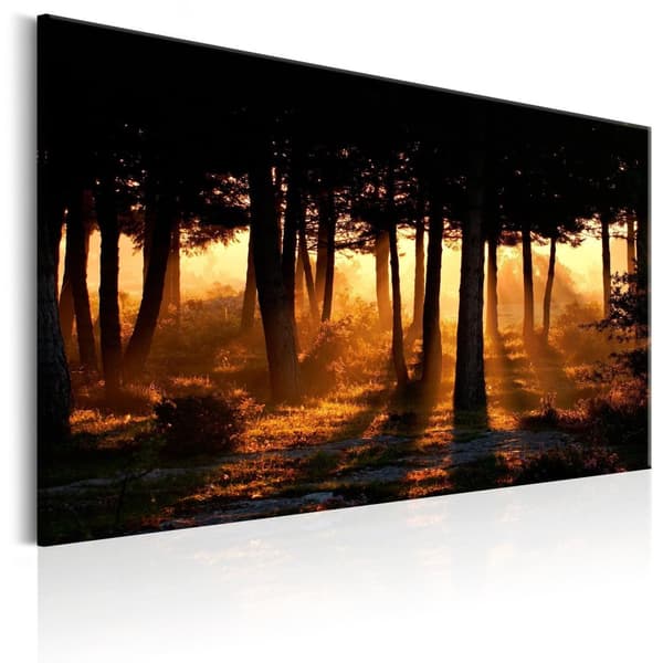 Canvas Tavla - Forest Dawn 90x60