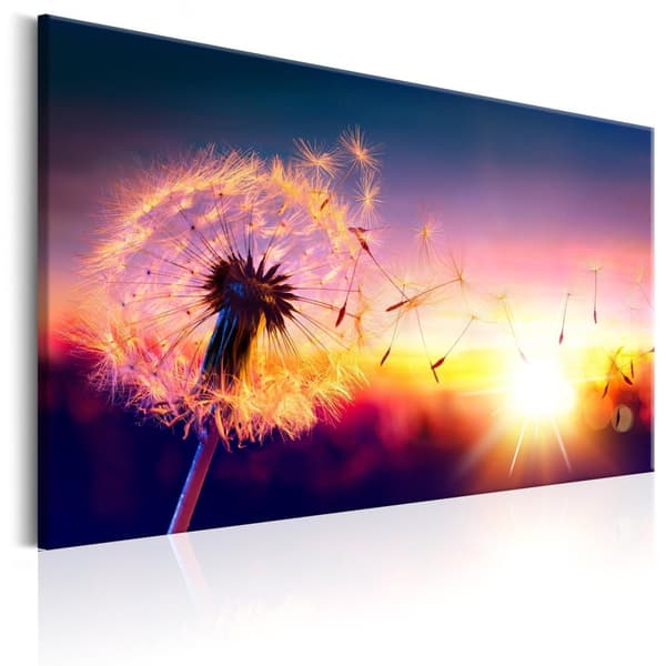 Canvas Tavla - Freedom of Nature