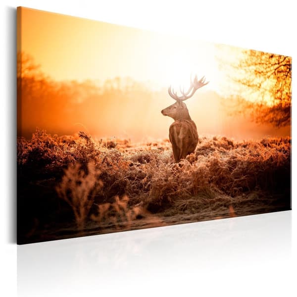 Canvas Tavla - Deer in the Sun